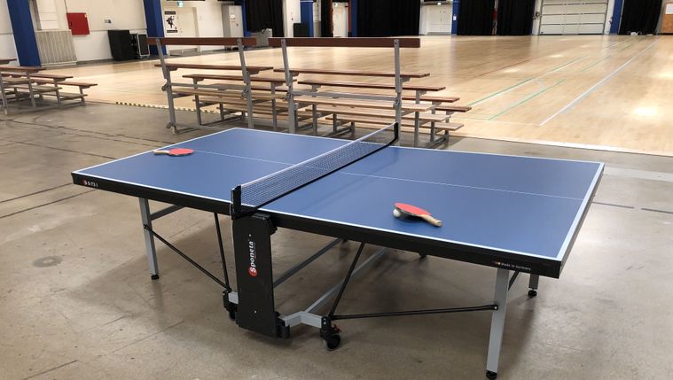 Bordtennisbord 